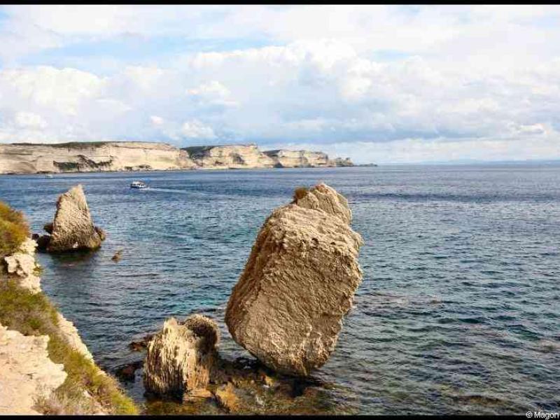 bonifacio
