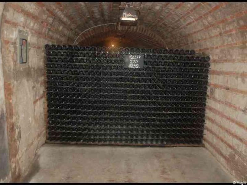 Подземный погреб Moët & Chandon в Марне, Франция