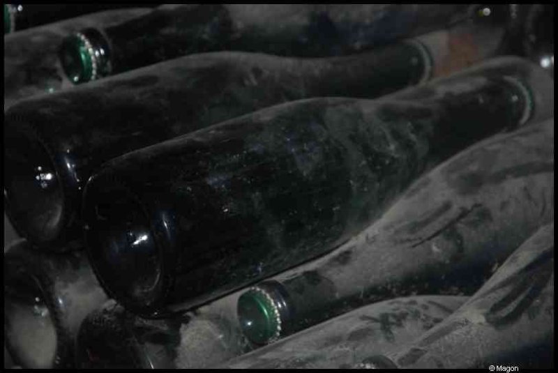 Moët & Chandon: бутылки в подвальной тьме, покрытые пылью и временем