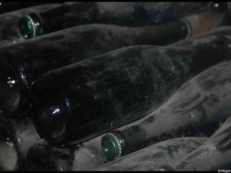 Moët & Chandon: бутылки в подвальной тьме, покрытые пылью и временем
