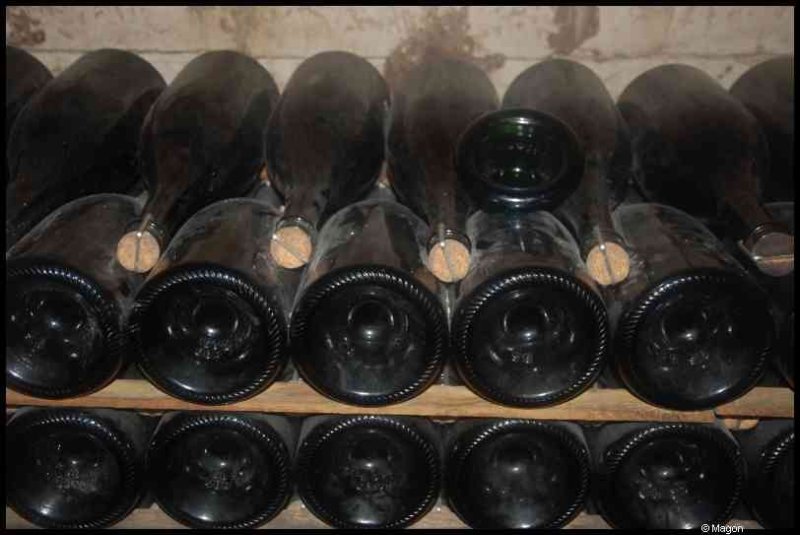 Moët & Chandon: бутылки в подвальной стеллажной галерее