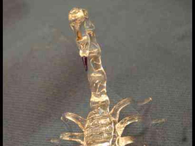 Скользящий стеклянный скорпион в Art Du Cristal, Люксембург