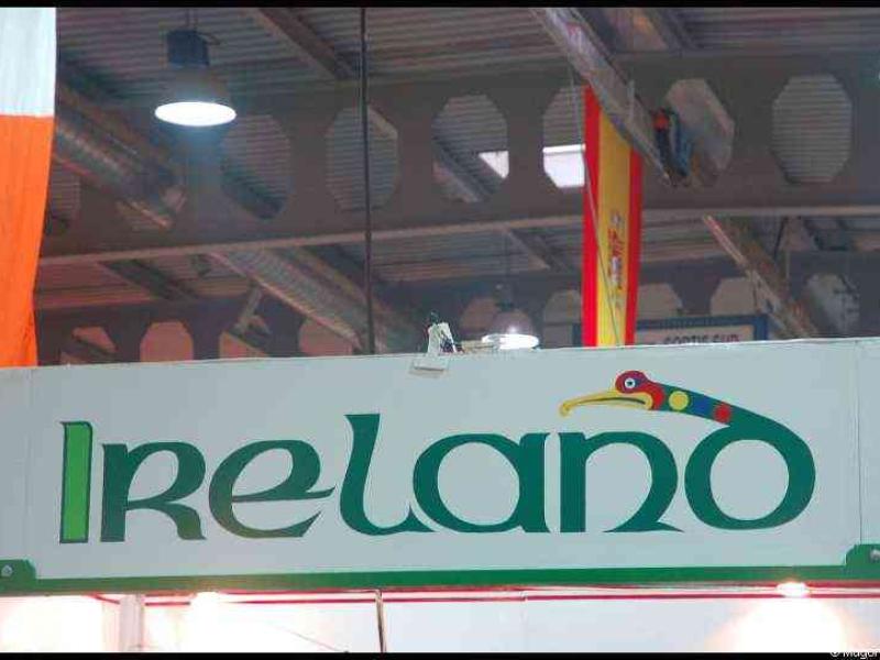 Bazzar в Люксембурге, 2009: вывеска 'Ireland' с птицей-туканом