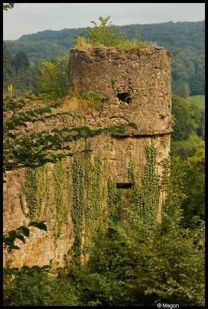 Круглая башня замка Ansembourg в Люксембурге, обвитая плющом