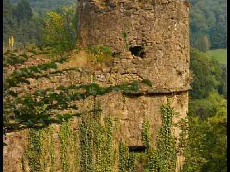 Chateaux