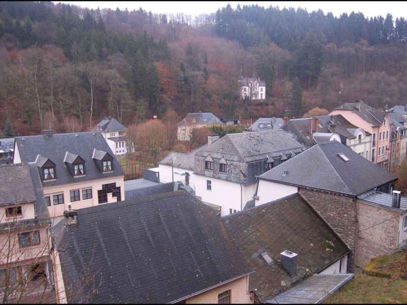 Clervaux, Люксембург: крыши и лес на склоне