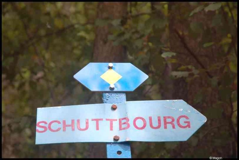 Синий дорожный знак с надписью Schuttbourg и желтым ромбом