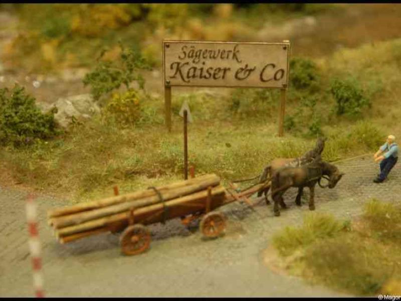 Люксембург, Expo train 2010: телега с лесом у вывески 'Sägewerk Kaiser & Co'