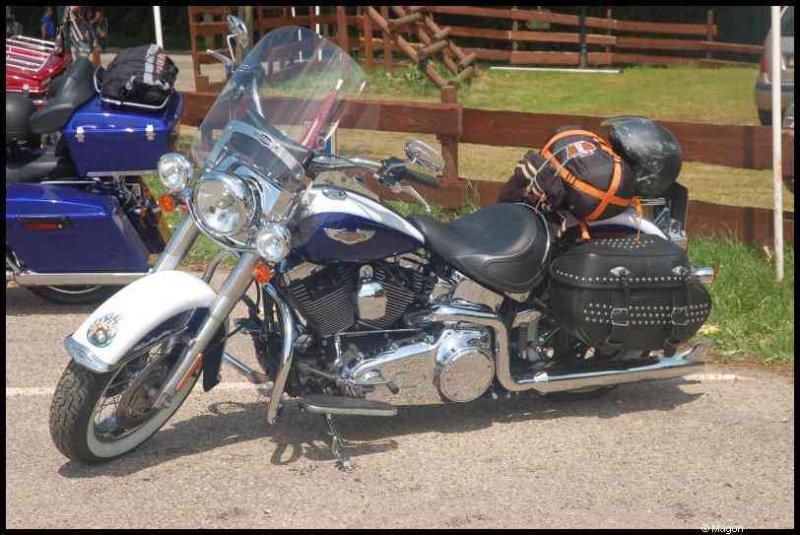 Сине-белый мотоцикл Harley-Davidson с багажом на заднем сиденье и боковыми сумками