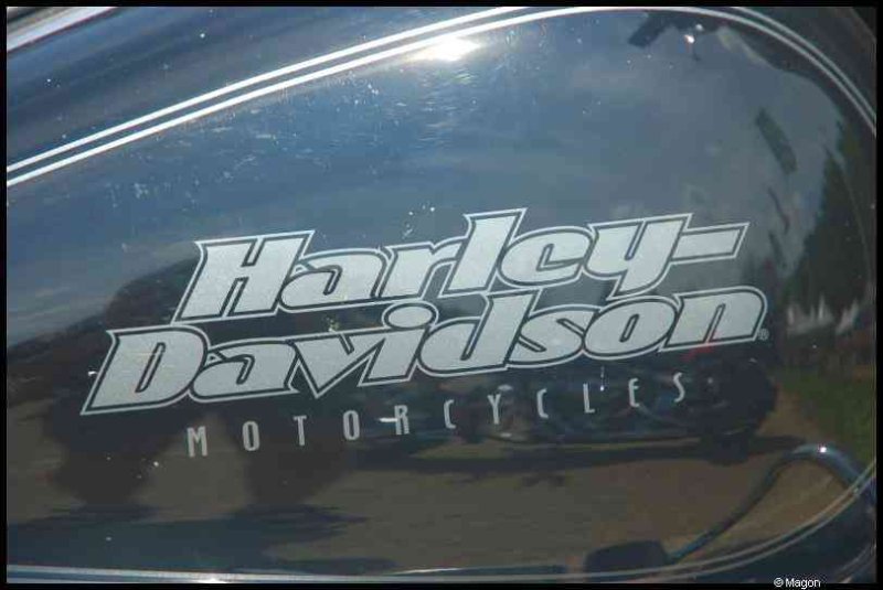 Hog, Люксембург, 2010: топливный бак Harley-Davidson на фоне зелени