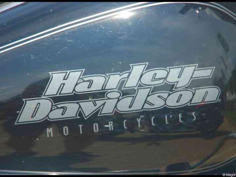 Hog, Люксембург, 2010: топливный бак Harley-Davidson на фоне зелени
