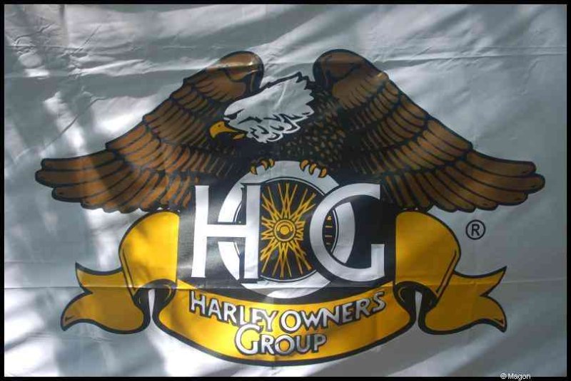 Hog, Люксембург, 2010: флаг Harley Owners Group под ветром