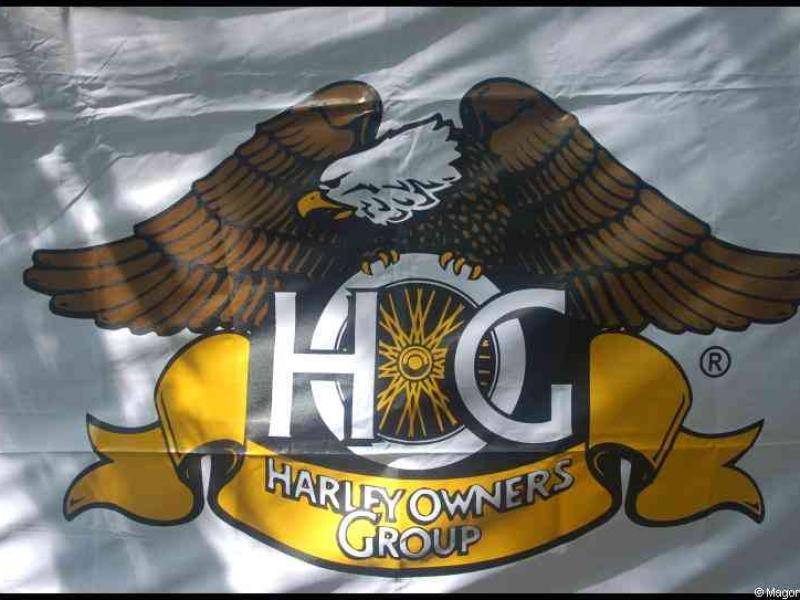 Hog, Люксембург, 2010: флаг Harley Owners Group под ветром