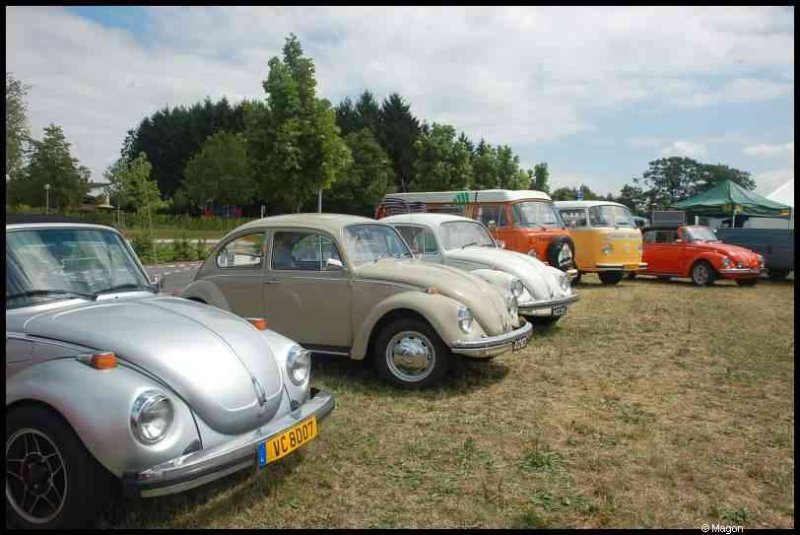 Luxbug 2010: Volkswagen-коллекция на лужайке у леса в Люксембурге