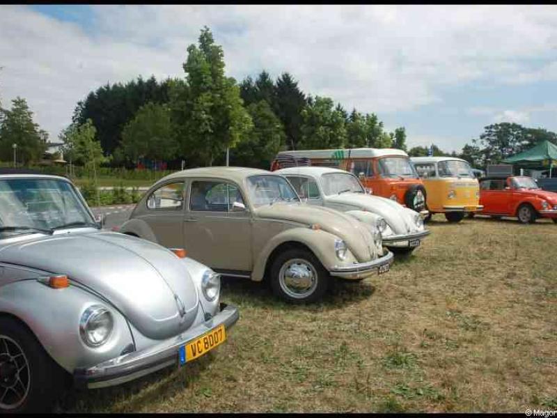 Luxbug 2010: Volkswagen-коллекция на лужайке у леса в Люксембурге