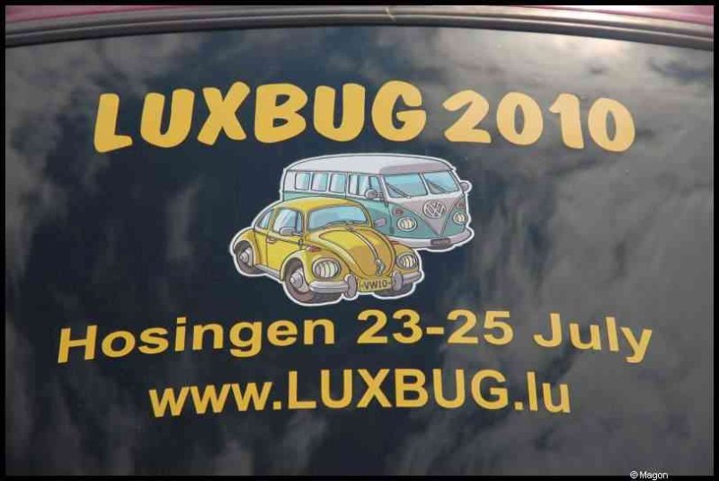 Luxbug 2010 в Хозингене: желтый Буг и фиолетовый Ван на стекле автомобиля