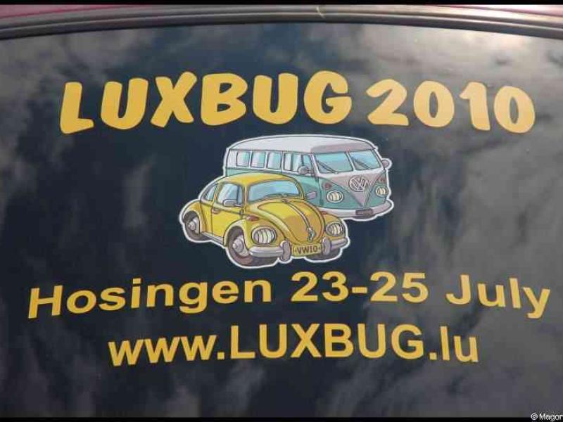Luxbug 2010 в Хозингене: желтый Буг и фиолетовый Ван на стекле автомобиля