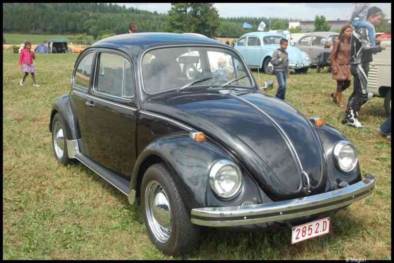 Luxbug 2010: чёрный Volkswagen Beetle на зелёном поле Люксембурга