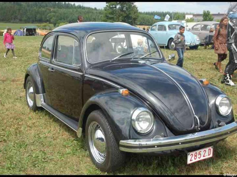 Luxbug 2010: чёрный Volkswagen Beetle на зелёном поле Люксембурга
