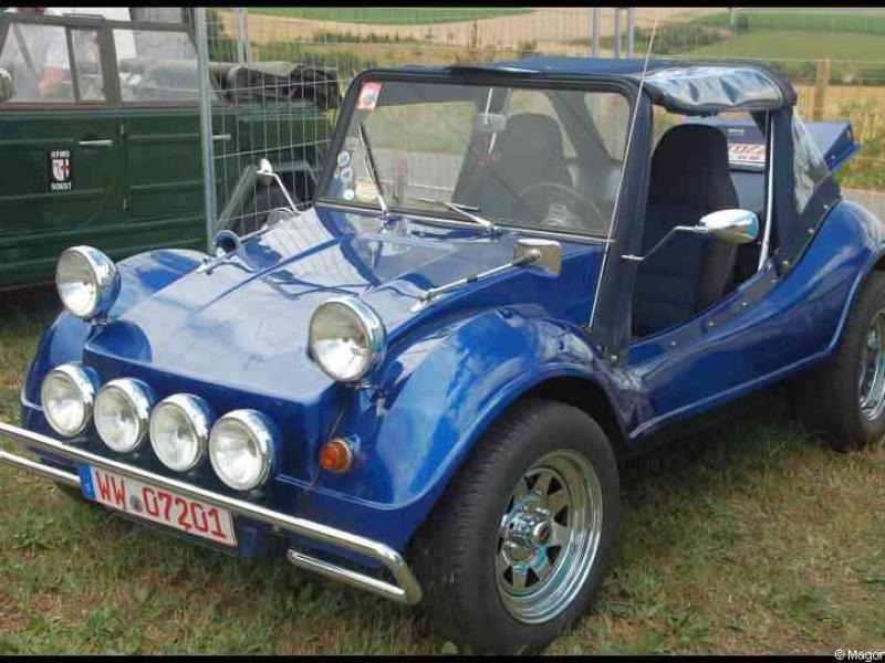 Luxbug 2010: синий джип-дюнёр на траве у зелёного «Роберта»