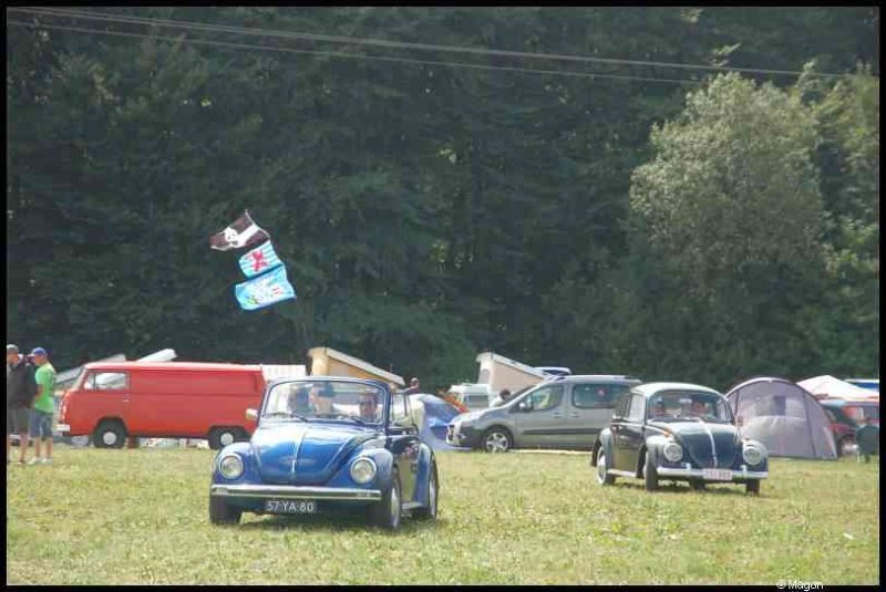 Luxbug 2010: синий и чёрный VW Beetle на лужайке у красного фургона
