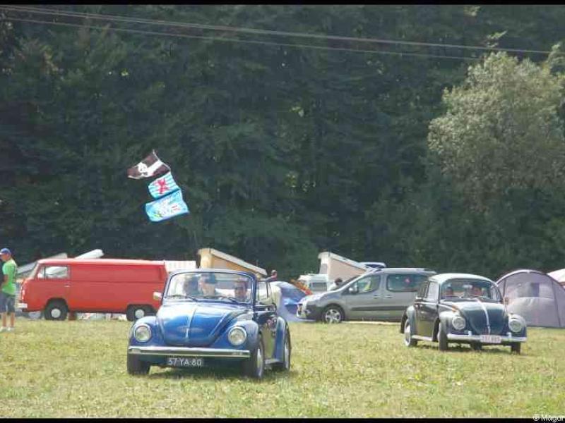 Luxbug 2010: синий и чёрный VW Beetle на лужайке у красного фургона