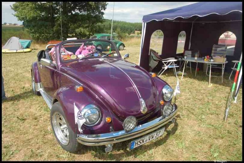 Luxbug 2010: фиолетовый VW Beetle на зелёной поляне в Люксембурге