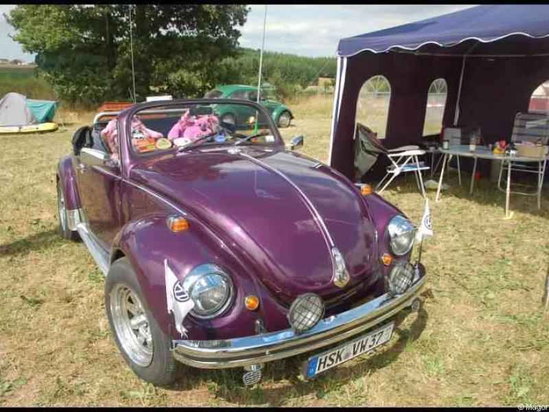 Luxbug 2010: фиолетовый VW Beetle на зелёной поляне в Люксембурге