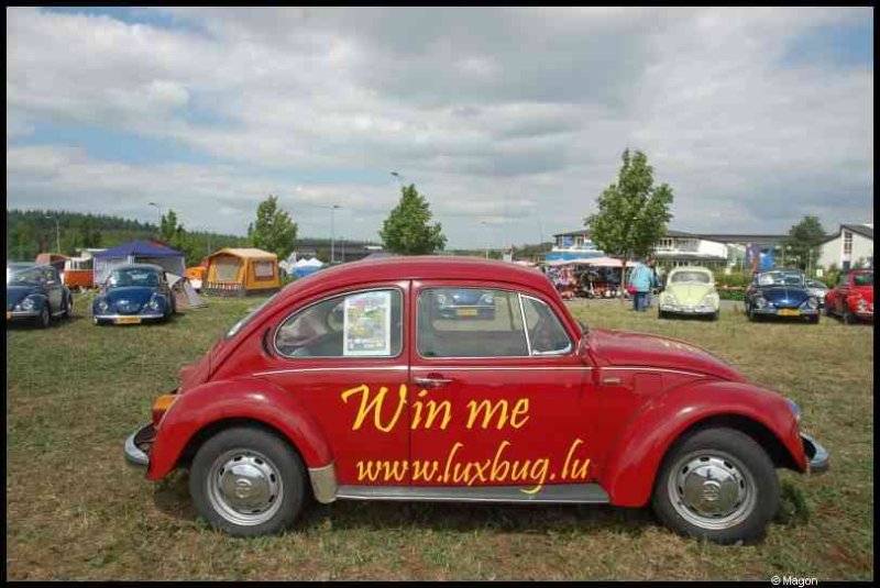 Luxbug 2010: красный Волксваген-бета на лужайке в Люксембурге
