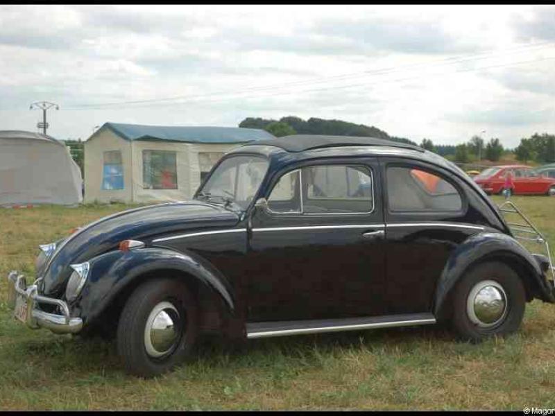 Luxbug 2010: чёрный Volkswagen Beetle на лужайке у палаток