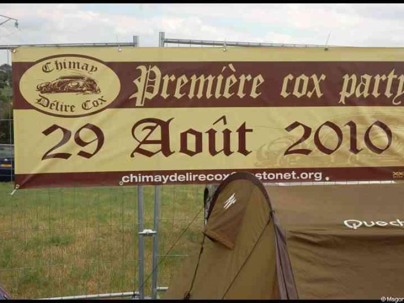 Luxbug 2010: баннер «Première cox party» в Люксембурге