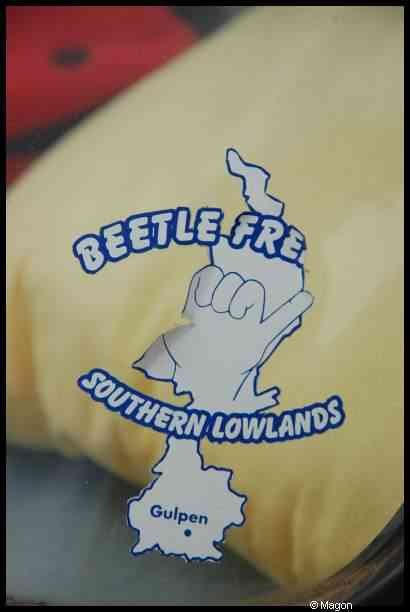 Luxbug 2010: «Beetle-Fre Southern Lowlands» на фестивале автомобилей в Люксембурге