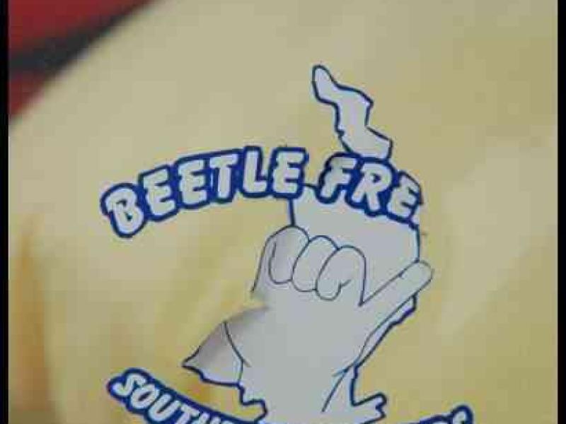 Luxbug 2010: «Beetle-Fre Southern Lowlands» на фестивале автомобилей в Люксембурге
