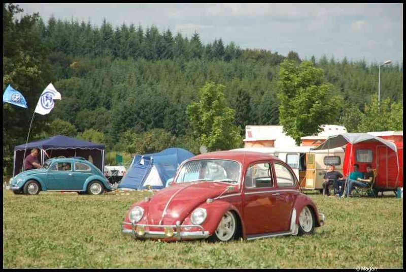Классические Volkswagen Beetle на автомобильной выставке в поле