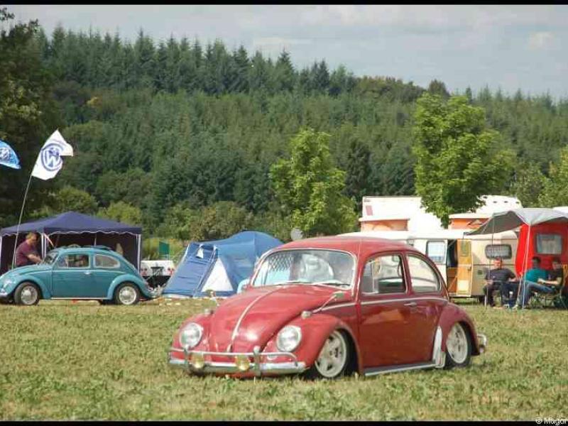Классические Volkswagen Beetle на автомобильной выставке в поле