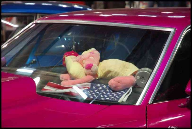 Motorshow 2010 в Люксембурге: розовый автомобиль с плюшевым другом и флагом США