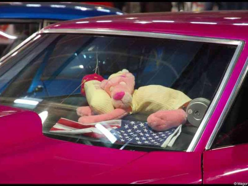 Motorshow 2010 в Люксембурге: розовый автомобиль с плюшевым другом и флагом США