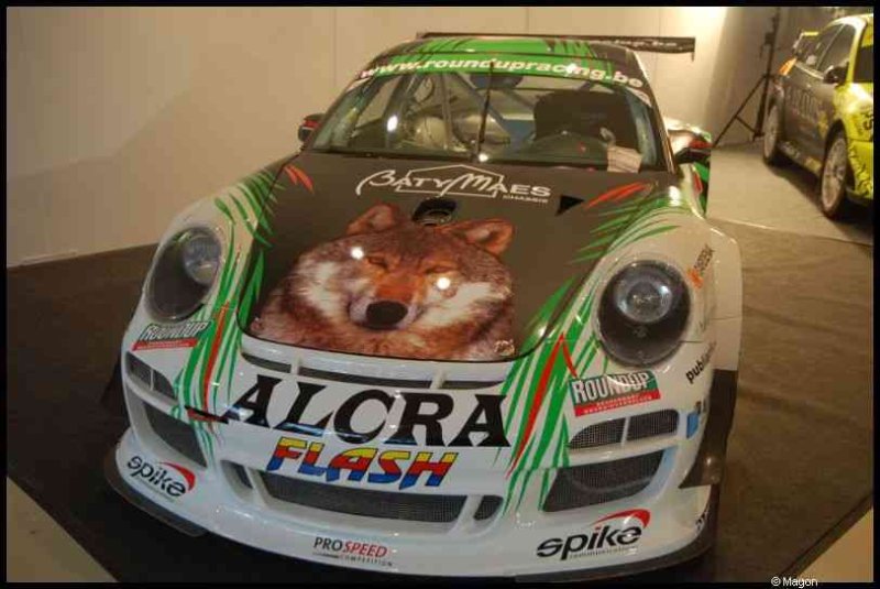 Motorshow 2010 в Люксембурге: Porsche с волком на капоте