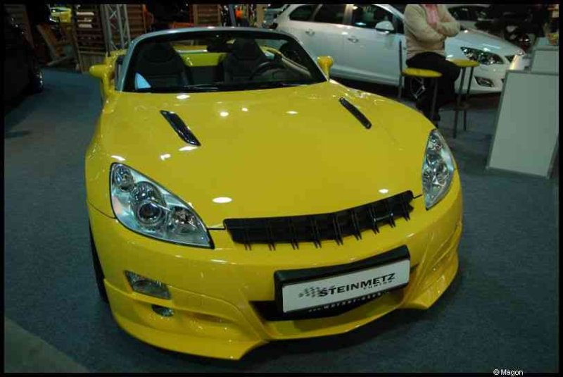Motorshow 2010 в Люксембурге: ярко-жёлтый спортивный кабриолет с решёткой из чёрных прутьев