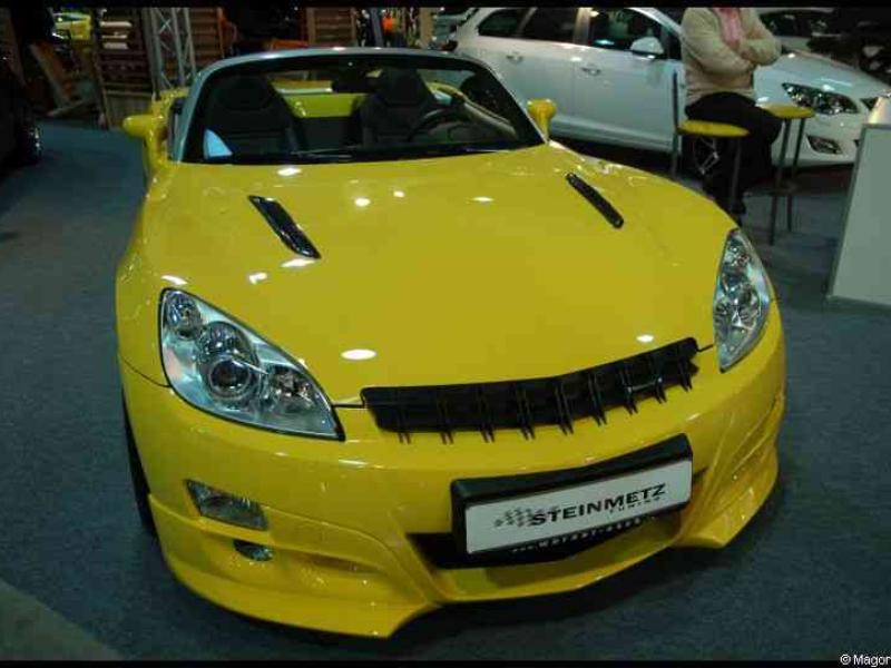 Motorshow 2010 в Люксембурге: ярко-жёлтый спортивный кабриолет с решёткой из чёрных прутьев