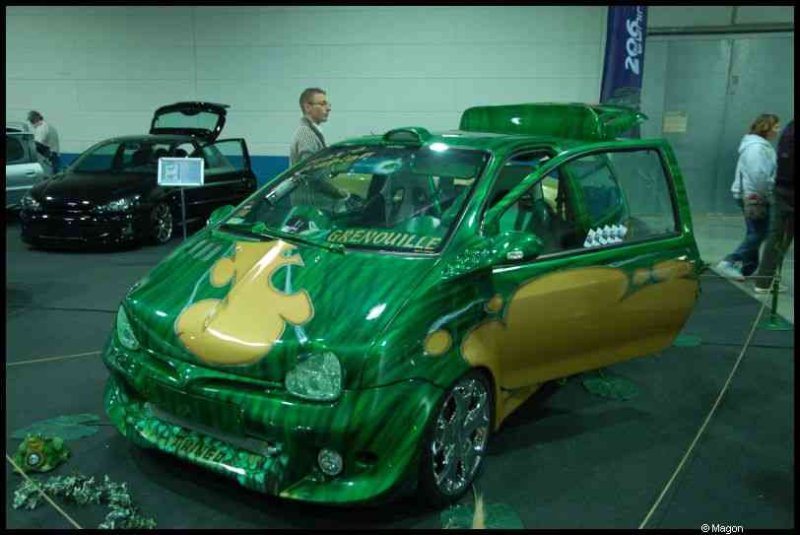 Motorshow 2010 в Люксембурге: зелёный хэтч с жёлтым узором и надписью «Grenouille»