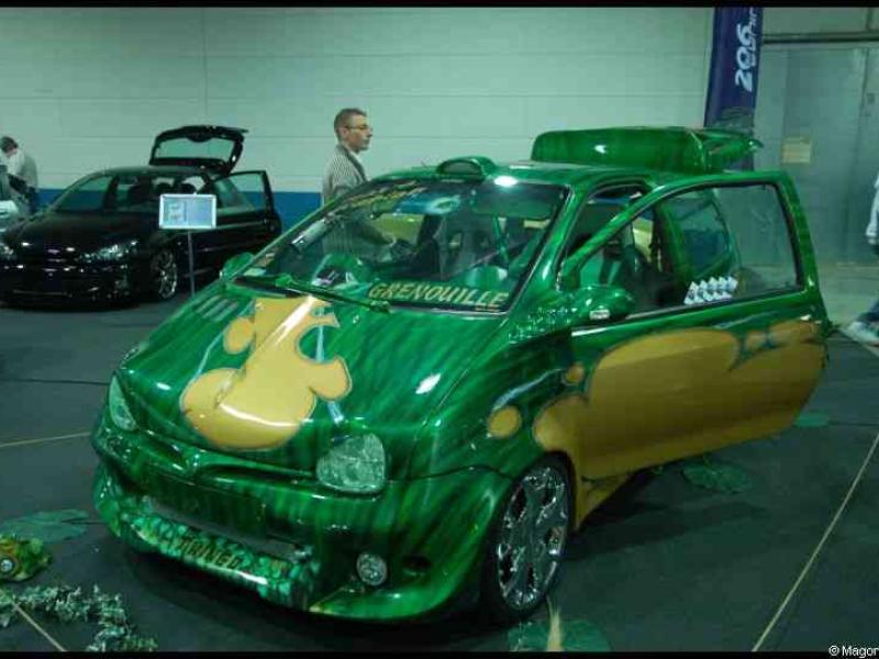 Motorshow 2010 в Люксембурге: зелёный хэтч с жёлтым узором и надписью «Grenouille»