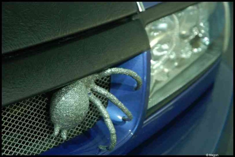Motorshow 2010 в Люксембурге: сверкающий паук на решётке радиатора синего авто