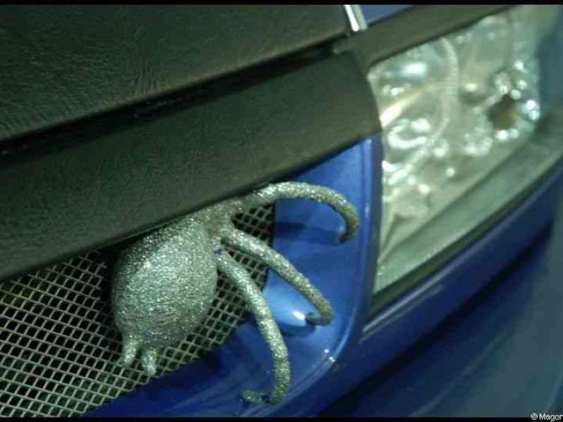 Motorshow 2010 в Люксембурге: сверкающий паук на решётке радиатора синего авто
