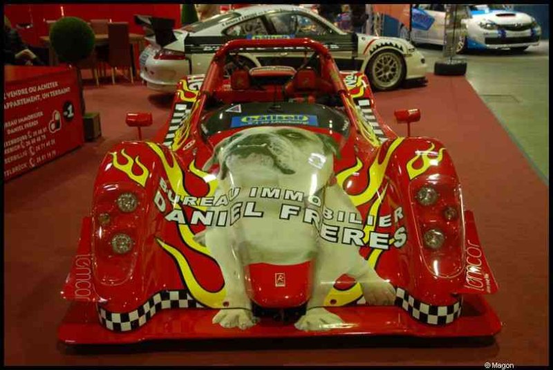 Motorshow 2010 в Люксембурге: красный гоночный автомобиль с бульдогом и надписью «BUREAU IMMOBILIER DANIEL FRERES»