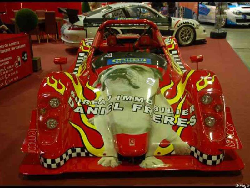 Motorshow 2010 в Люксембурге: красный гоночный автомобиль с бульдогом и надписью «BUREAU IMMOBILIER DANIEL FRERES»