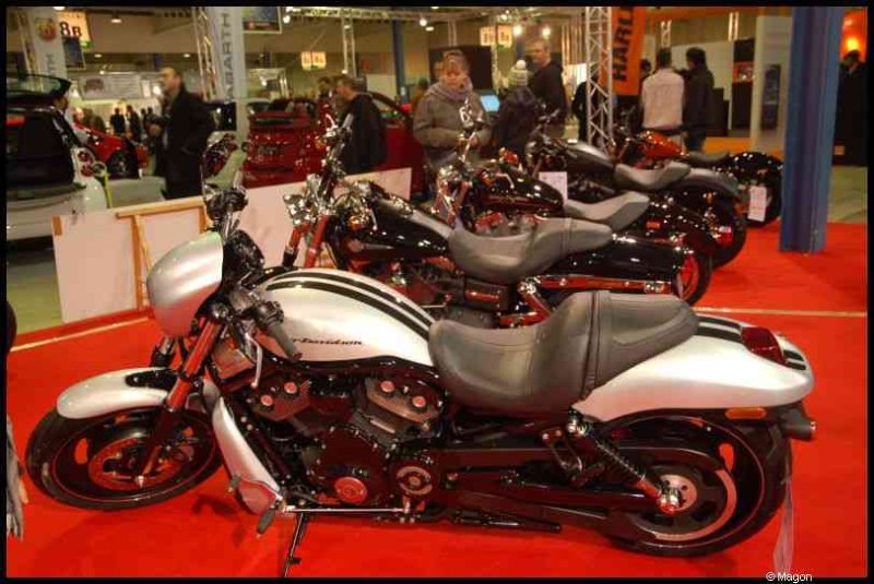 Motorshow 2010 в Люксембурге: белая Harley-Davidson V-Rod на красном ковре