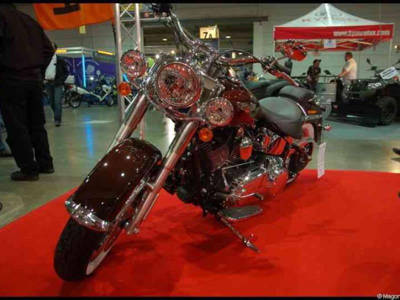 Motorshow 2010 в Люксембурге: бронзовая «Харлей» на красной дорожке
