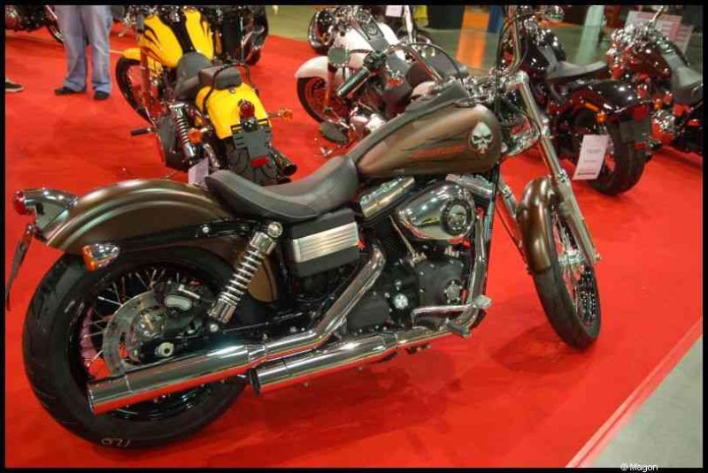 Motorshow 2010 в Люксембурге: бронзовый Harley-Davidson Sportster с черепом на баке