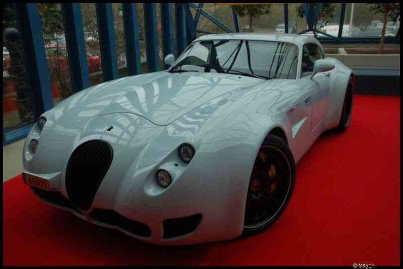 Motorshow 2010 в Люксембурге: белый купе на красной дорожке